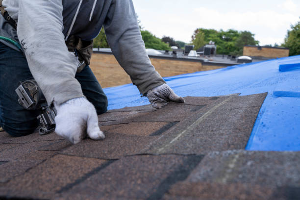 Best New Roof Installation  in Davie, FL