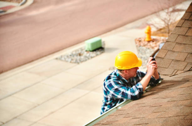 Best Roof Repair Services  in Davie, FL